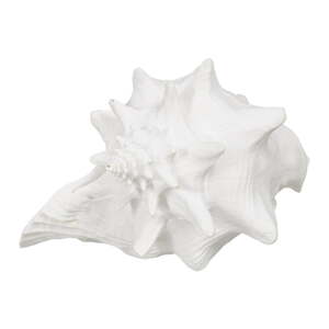 Kipić od polyresina (visina 13 cm) Seashell – Ixia
