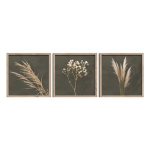 Slike u setu 3 kom 30x30 cm Pampas – Styler