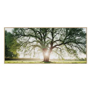 Slika 150x60 cm Tree in the Sun – knor