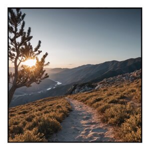 Slika 50x50 cm Mountain Path – knor