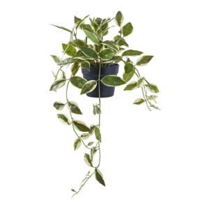 Umjetna biljka (visina 33 cm) Hoya Carnosa – House Nordic