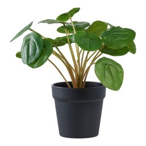 Umjetna biljka (visina 28 cm) Pelia – House Nordic