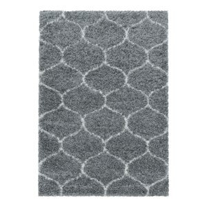 Sivi tepih 120x170 cm Salsa – Ayyildiz Carpets