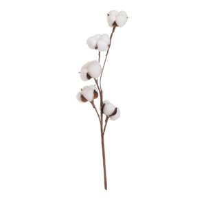 Umjetna suha biljka (visina 55 cm) Cotton – Casa Selección