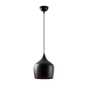 Crna viseća svjetiljka s metalnim sjenilom ø 22 cm Dodo – Opviq lights