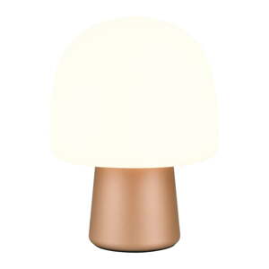 Bijela/u brončanoj boji stolna lampa sa staklenim sjenilom (visina 27 cm) Steen – Trio