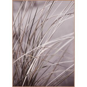 Slika 50x70 cm Mellow Grasses 1 – Malerifabrikken