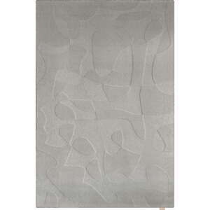 Sivi vunen tepih 200x300 cm Morphic Botanica – Agnella