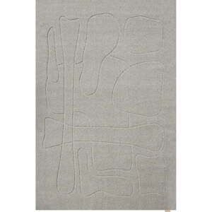 Sivi vunen tepih 200x300 cm Morphic – Agnella
