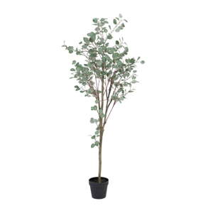 Umjetni eukaliptus (visina 180 cm) Eucalyptus – Ixia