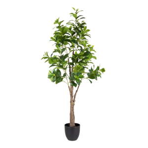 Umjetna biljka (visina 145 cm) Peperomia – Ixia