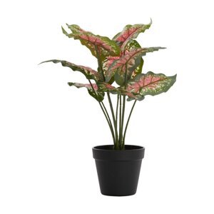 Umjetna biljka (visina 40 cm) Caladium – Light & Living