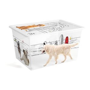 Bijela plastična kutija za pohranu s poklopcem 55x39x31 cm C Box Style – KIS