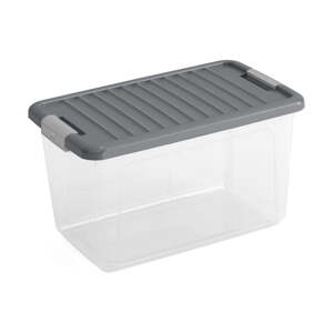 Plastična kutija za pohranu s poklopcem 49x30x28,5 cm W box M – KIS