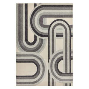 Tepih sivo-bež 200x290 cm Nova Retro Grey – Asiatic Carpets