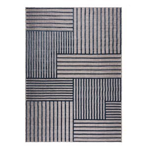 Tamno plavi unutarnji i vanjski tepih 200x290 cm Vigo Blocks – Flair Rugs