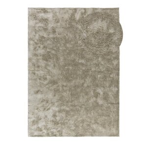 Tepih sivo-bež 80x150 cm Roma – Universal