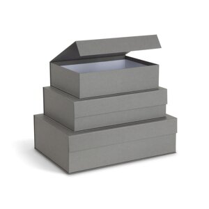 Sive kartonske kutije za pohranu u setu  3 kom s poklopcem/dekorativne 42,5x29,5x13 cm Kian Paper Laminate – Bigso