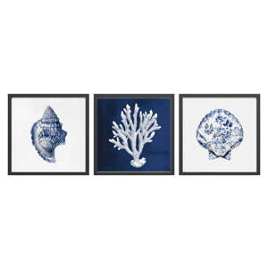 Slika 30x30 cm Sea Treasure – Styler