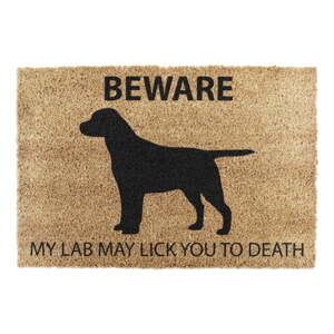 Otirač od kokosovih vlakana 40x60 cm Labrador – Artsy Doormats