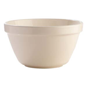 Bijela zemljana zdjela Mason Cash Basin, ⌀ 22 cm