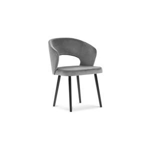 Siva blagovaonska baršunasta stolica Windsor & Co Sofas Elpis