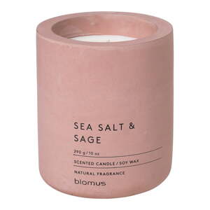 Mirisna svijeća od sojinog voska vrijeme gorenja 55 h Fraga: Sea Salt and Sage – Blomus