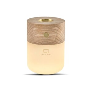 Električni difuzor Smart – Gingko