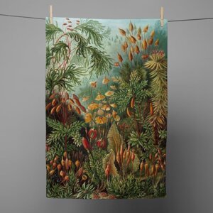 Kuhinjska krpa 43x64 cm Deep Forest – Madre Selva