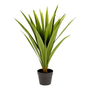 Umjetna biljka (visina 80 cm) Yucca – Kave Home