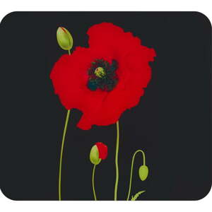 Zidna zaštitna ploča za štednjak od kaljenog stakla 50x56 cm Poppy – Maximex