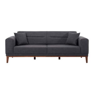 Antracitno siva sklopiva sofa 223 cm Liones – Artie