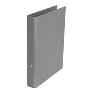 Kartonski uredski organizator za dokumente Ringo – Bigso Box of Sweden