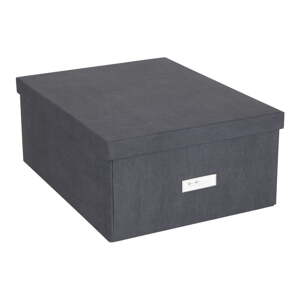 Kutija za pohranu s poklopcem Katrin – Bigso Box of Sweden