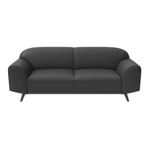 Tamno siva kožna sofa 193 cm Nesbo – MESONICA