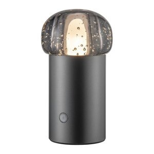 LED vanjska svjetiljka s mogućnosti zatamnjivanja s USB ø 10 cm Iris – Blomus