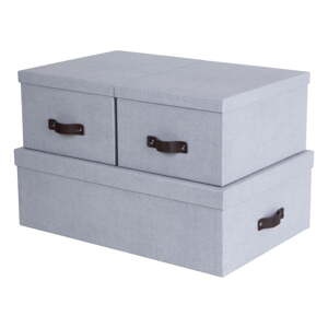 Svijetlo sive kartonske kutije za pohranu u setu  3 kom s poklopcem 31x47x15 cm Inge – Bigso Box of Sweden