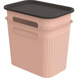 Svijetlo ružičaste plastične kutije za pohranu u setu  2 kom s poklopcem 18,5x27x26 cm Brisen – Rotho