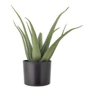 Umjetna biljka (visina 61 cm) Aloe – Bloomingville