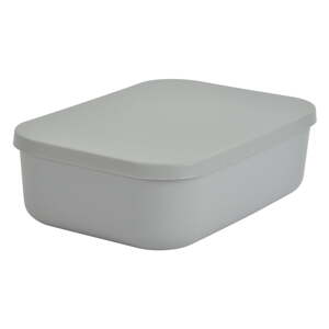 Siva plastična kutija za pohranu s poklopcem 24x18x8 cm – Homéa