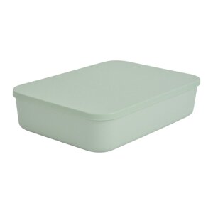 Svijetlo zelena plastična kutija za pohranu s poklopcem 35,5x25,5x8 cm – Homéa