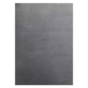 Sivi periv tepih 240x340 cm Sky – Ayyildiz Carpets
