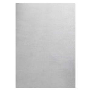 Svijetlo sivi periv tepih 80x150 cm Sky – Ayyildiz Carpets