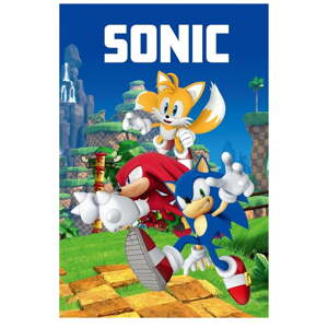 Deka za bebe od flisa 100x150 cm Sonic – Jerry Fabrics