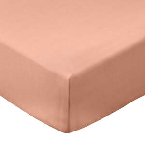 Plahta s gumom od pamučnog perkala boja terakote 185x200 cm Cotton Percale – Bianca