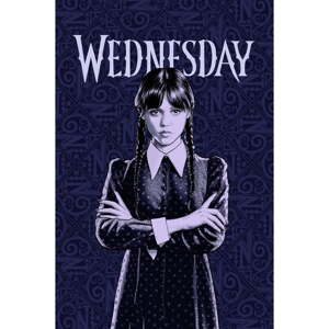 Tamno plava deka za bebe od flisa 100x150 cm Wednesday – Jerry Fabrics