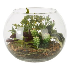 Umjetni sukulent (visina 15 cm) Fiori – Premier Housewares